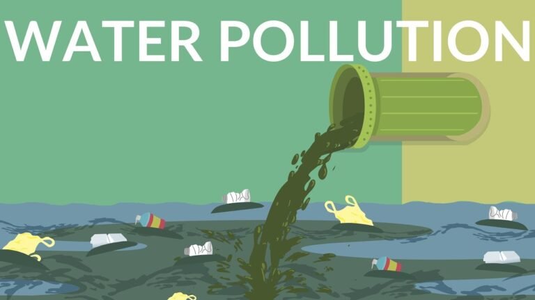 10 Lines on Water Pollution in English, Water Pollution 10 Lines Essay for Students in English, 10 Lines on Water Pollution for Students and Children in English, 10 Lines On Water Pollution In English For Children And Students, 10 lines on water pollution for class 1/2/3/4/5/6/7/8, water pollution speech in english 10 lines for class 1/2/3/4/5/